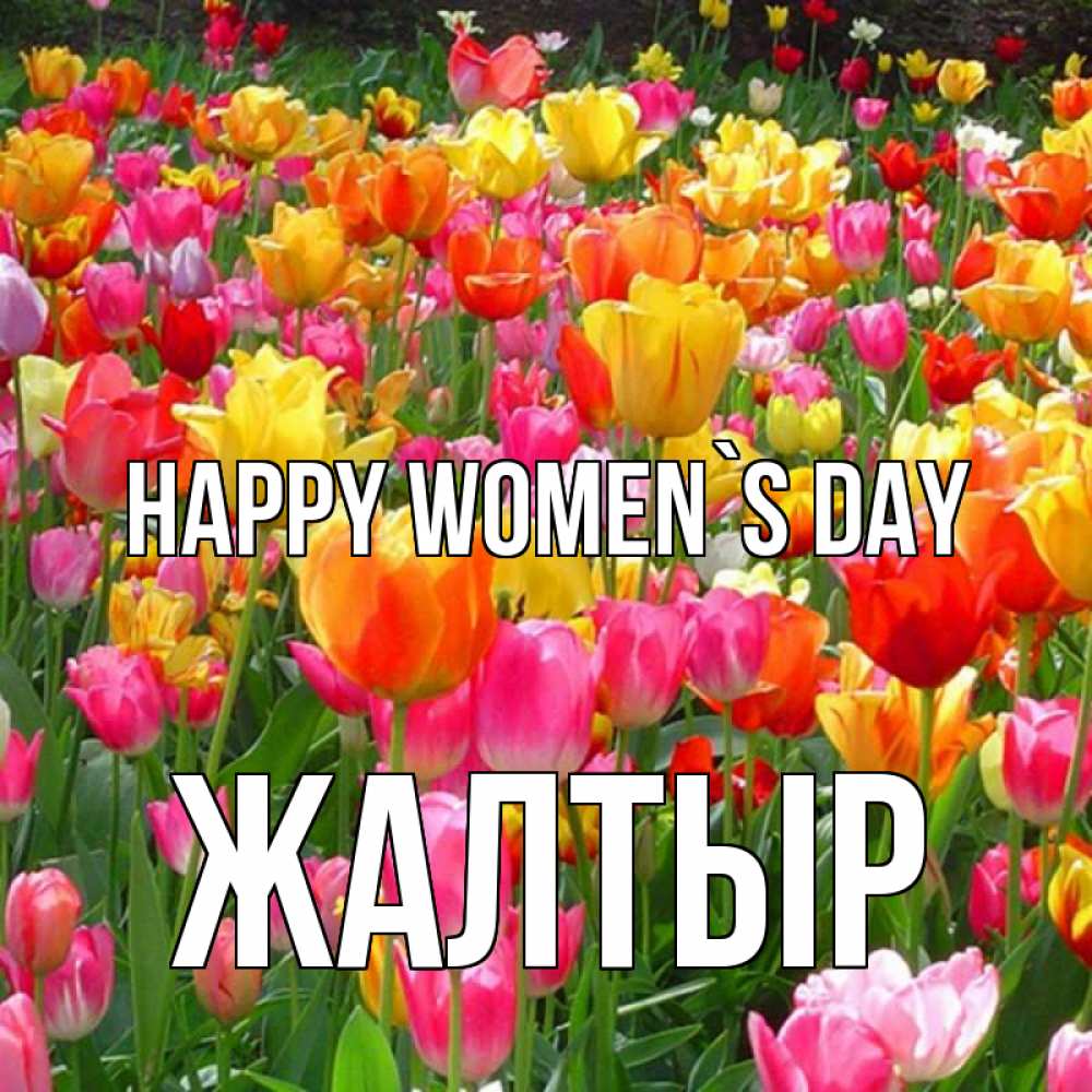 Greetings card с именем, Жалтыр happy women`s day на международный женский день Greetings with text for free download 